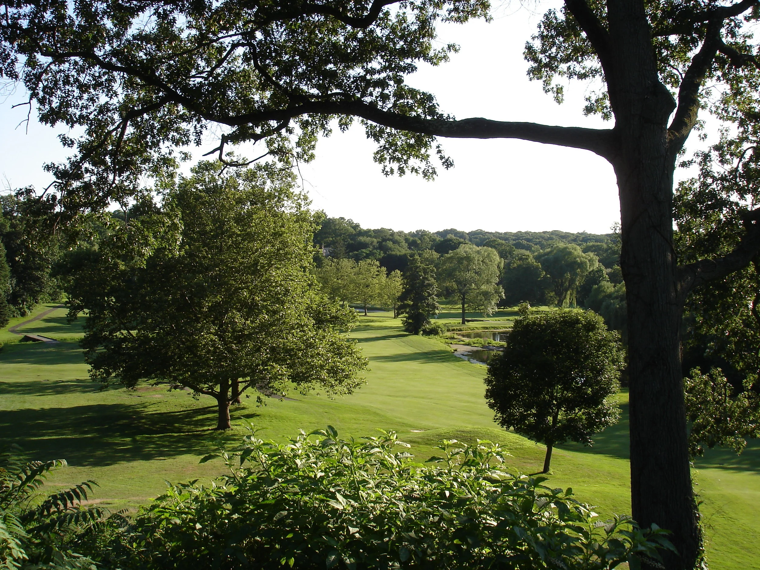 One of my favorite views, looking back from tee 14.