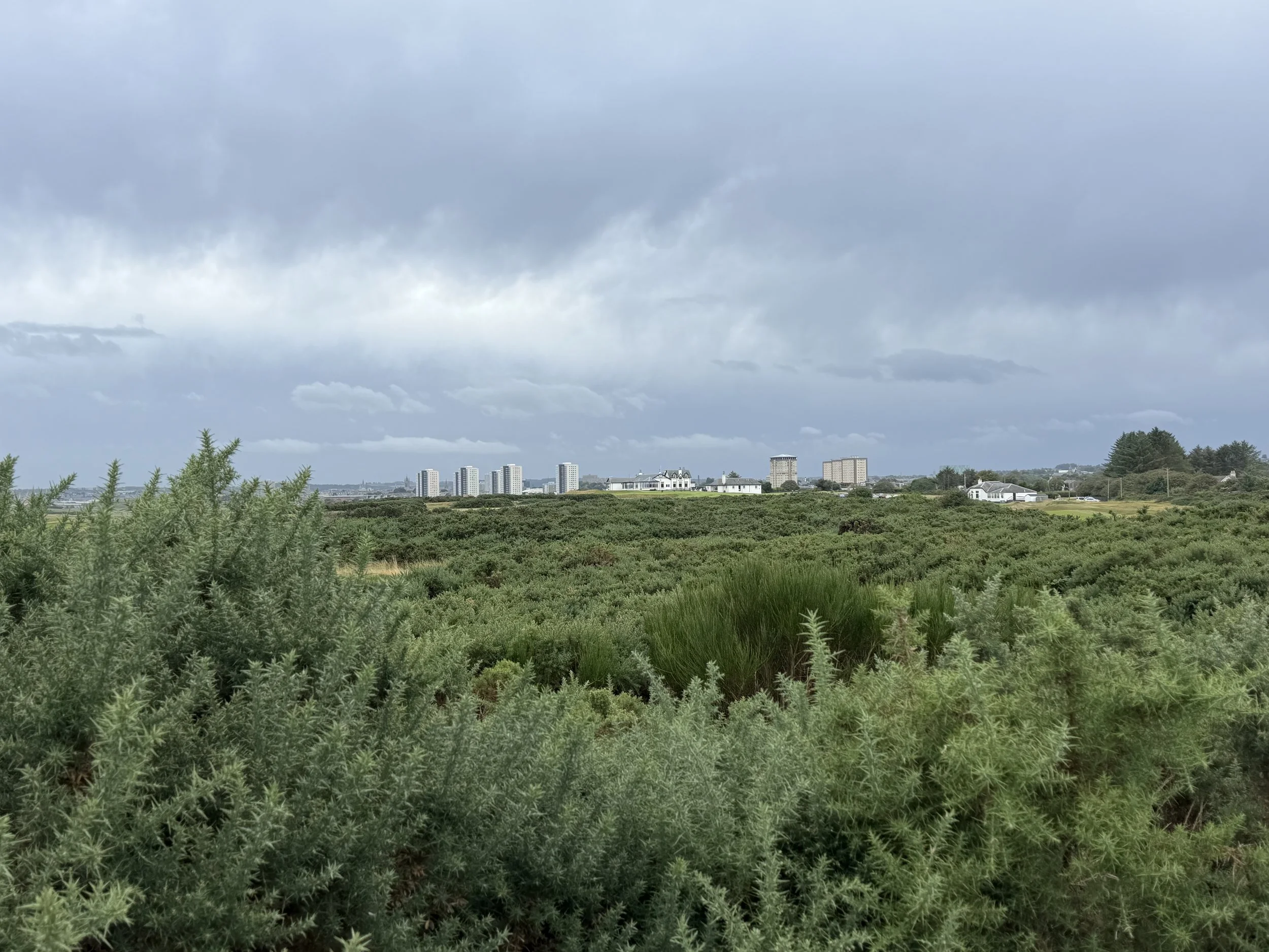 IMG_3232.jpeg