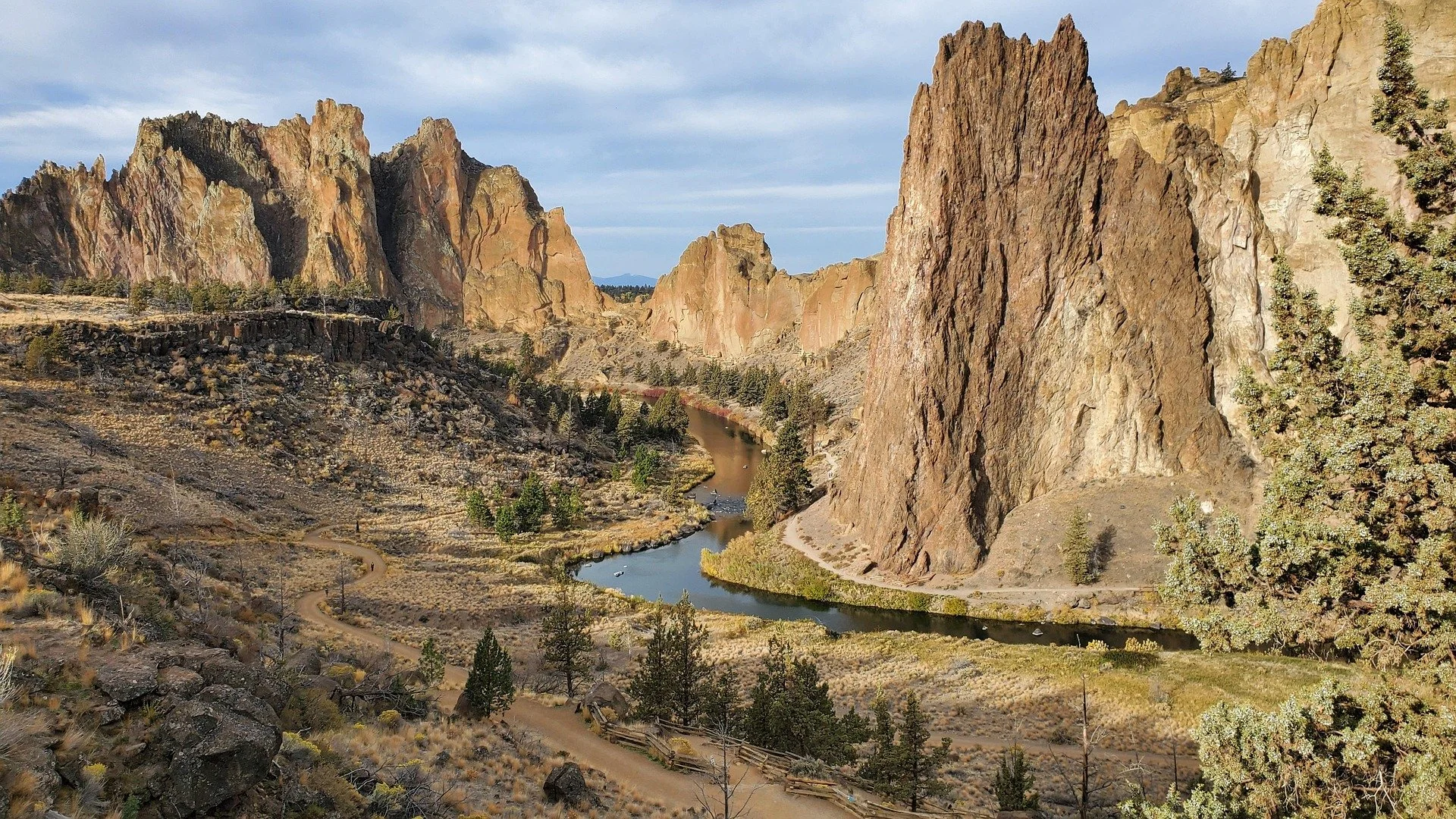 nature-6952817_1920.jpg