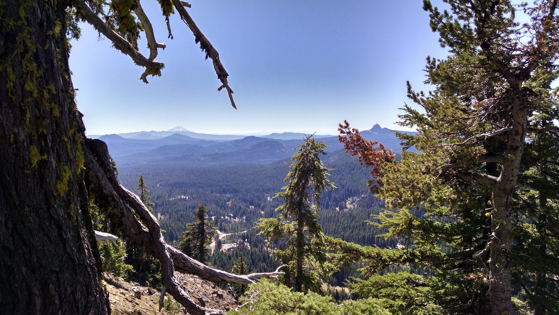 donwhite84-oregon-950823_1920.jpg