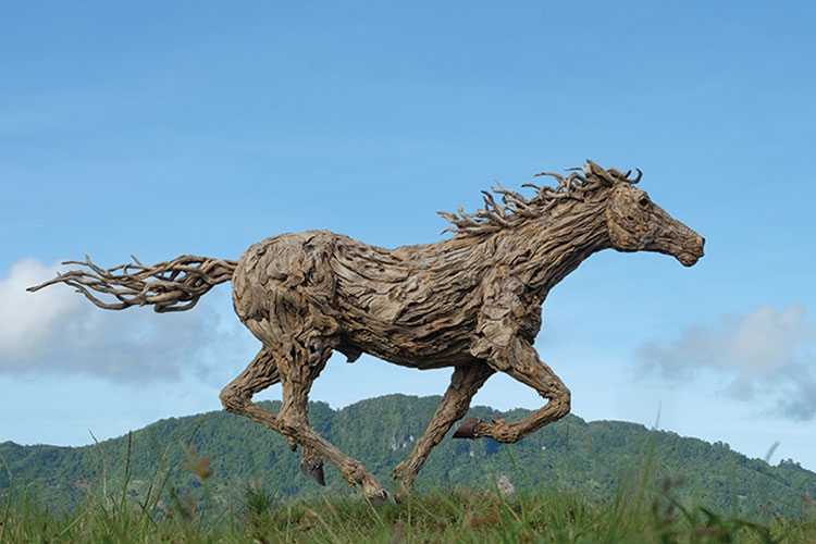 Coup de feu_Driftwood