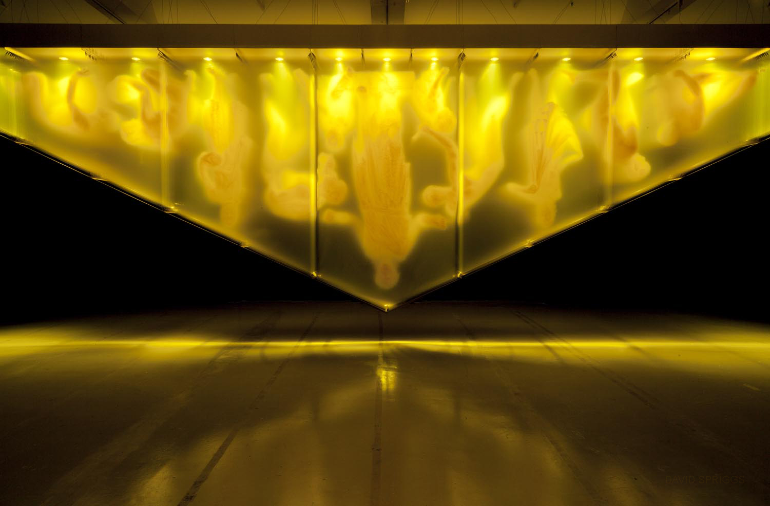 02.-Spriggs.David_.Gold_.front_.jpg