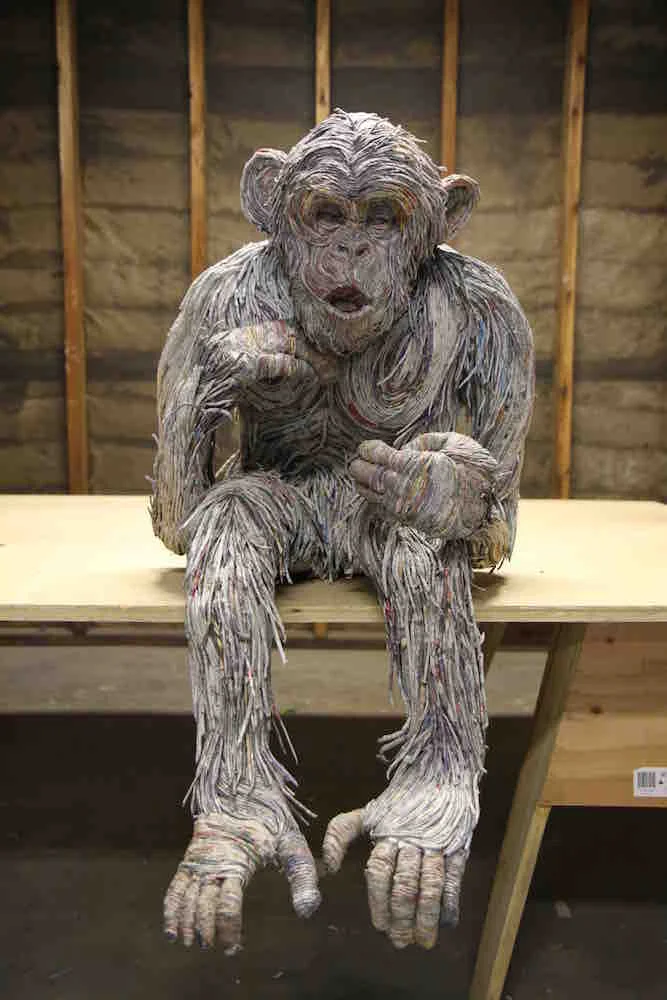 Chimp3.jpg