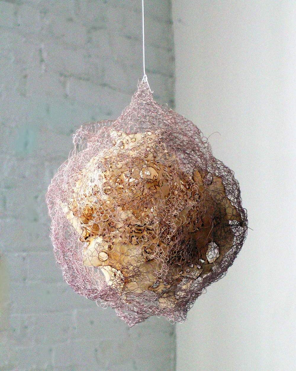 cont_detail.jpg