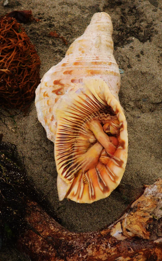 Healing-Woman-Shell-Sculpture.jpg