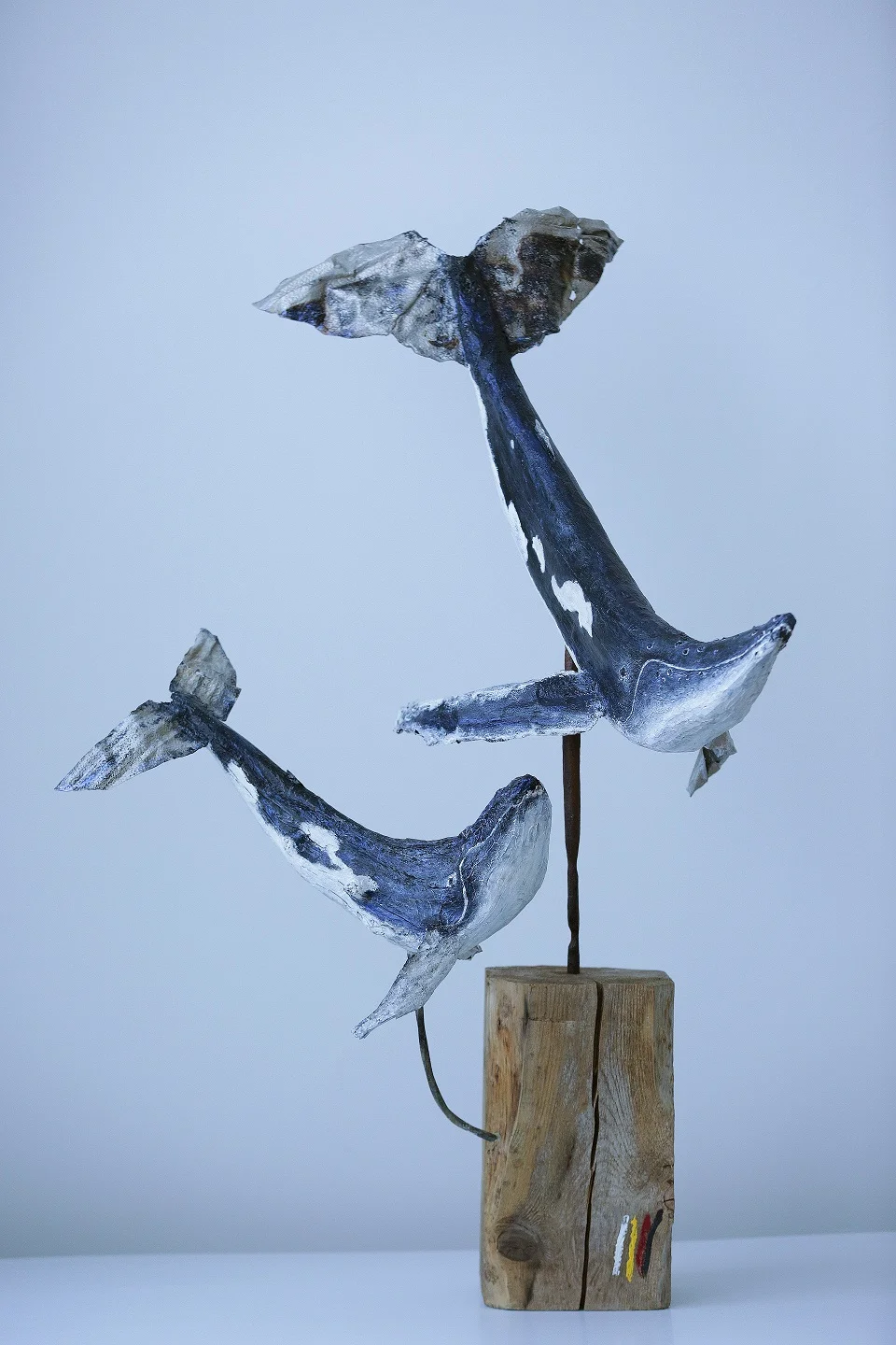 2016-baleine-mere-fille-2.jpg