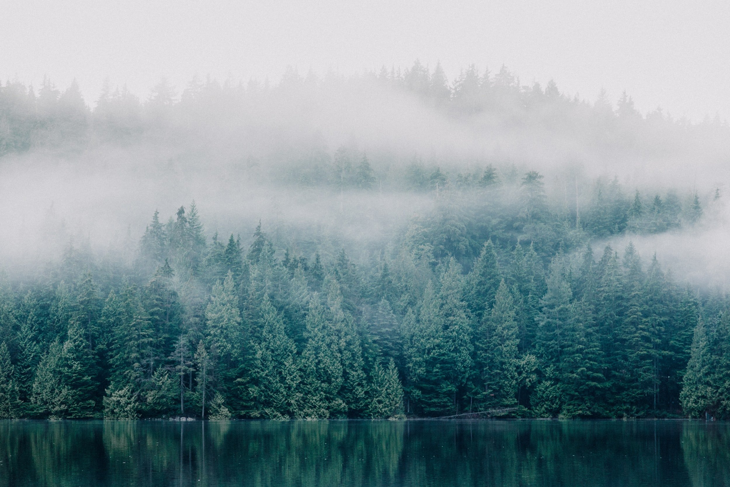 unsplash-image-B9LlLJYmw74.jpg