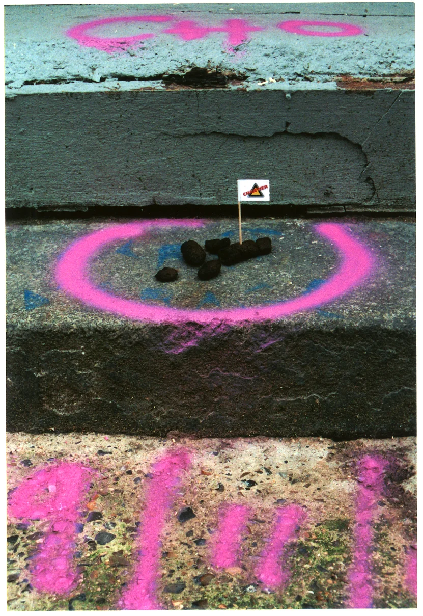 drapeau_la_crotte_09.jpg