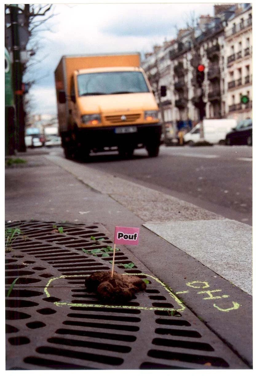 drapeau_la_crotte_07.jpg