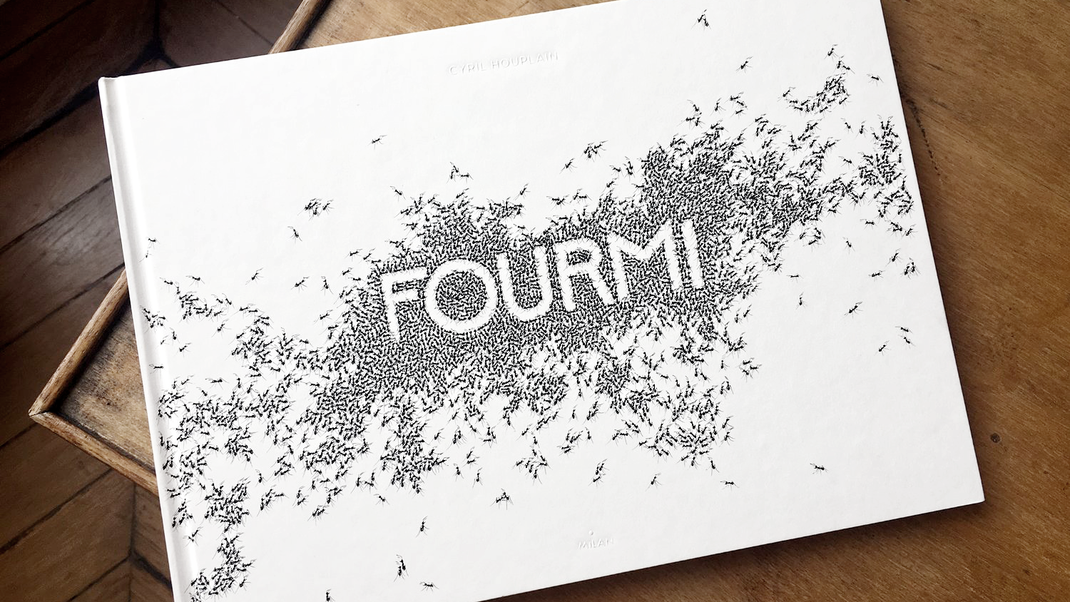 fourmi_01b.png