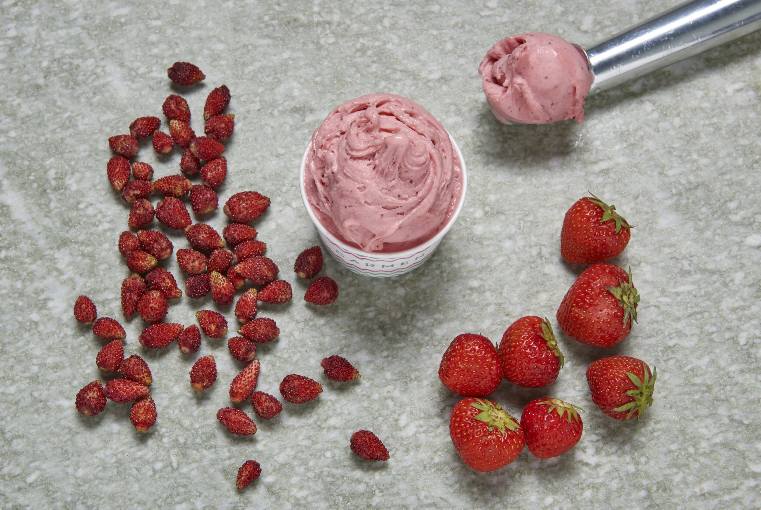 FRAGOLE E FRAGOLINE DI BOSCO