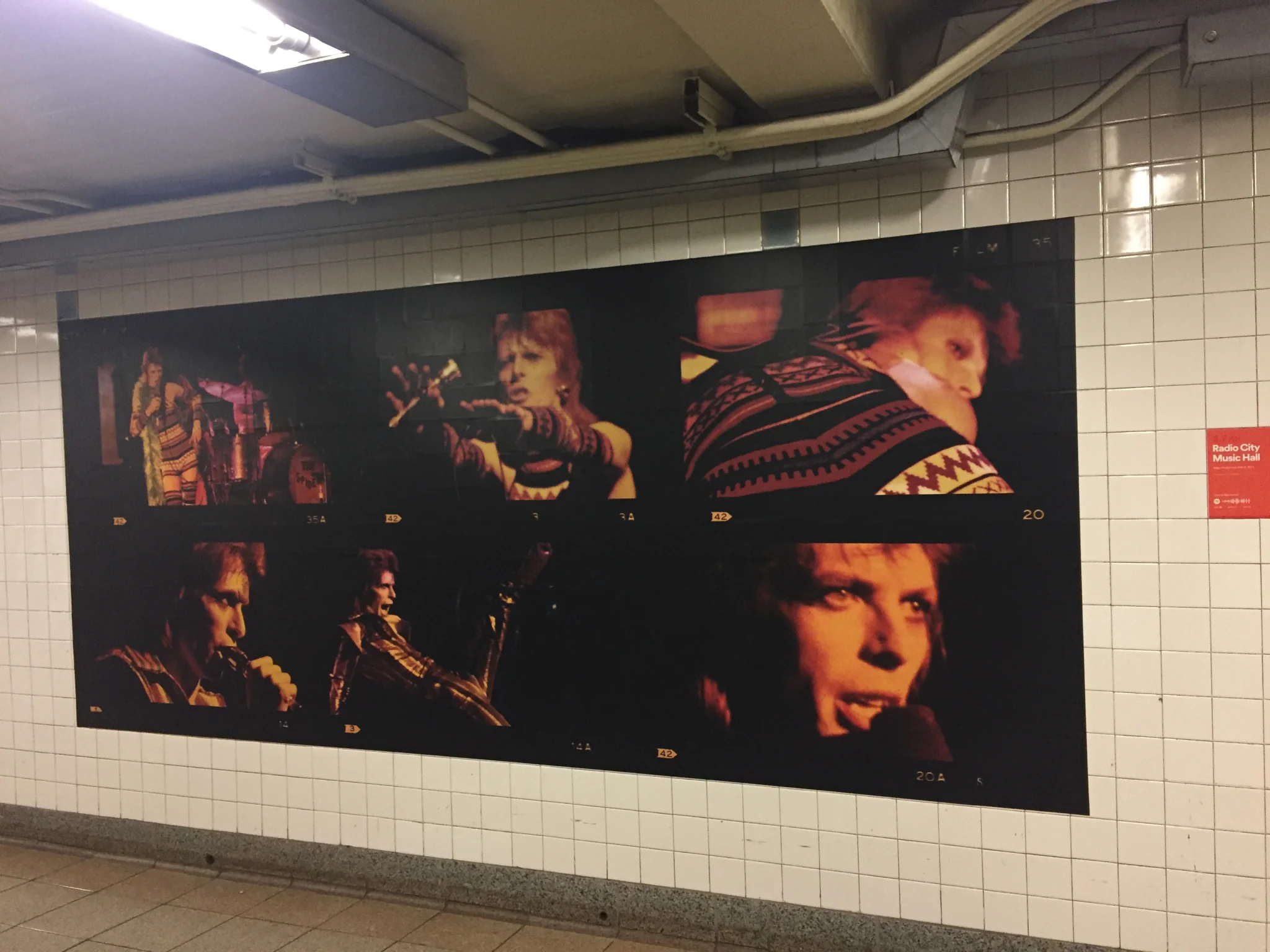 bowie-spotify-rcmh.jpg