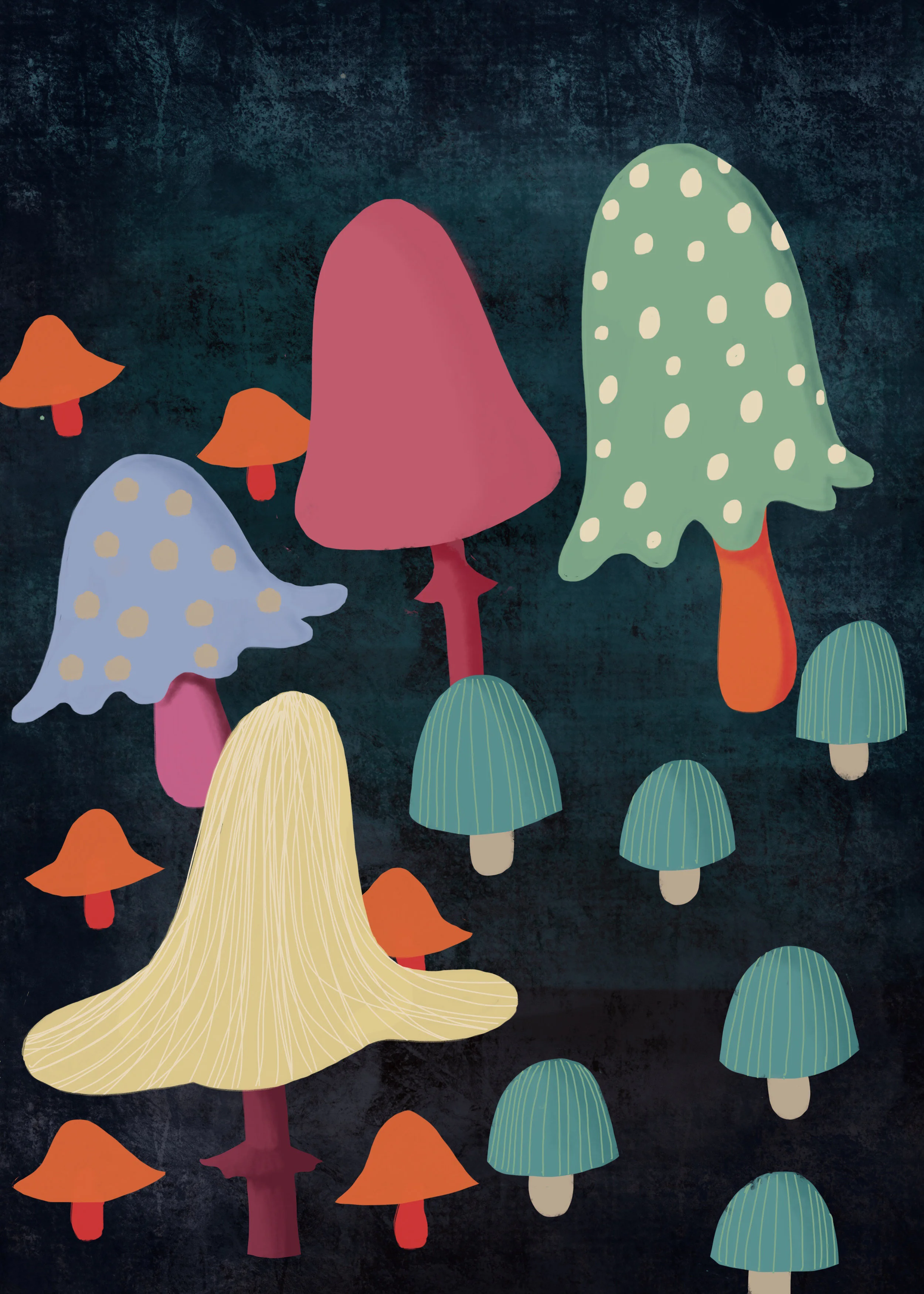 toadstools_lo-res.jpg