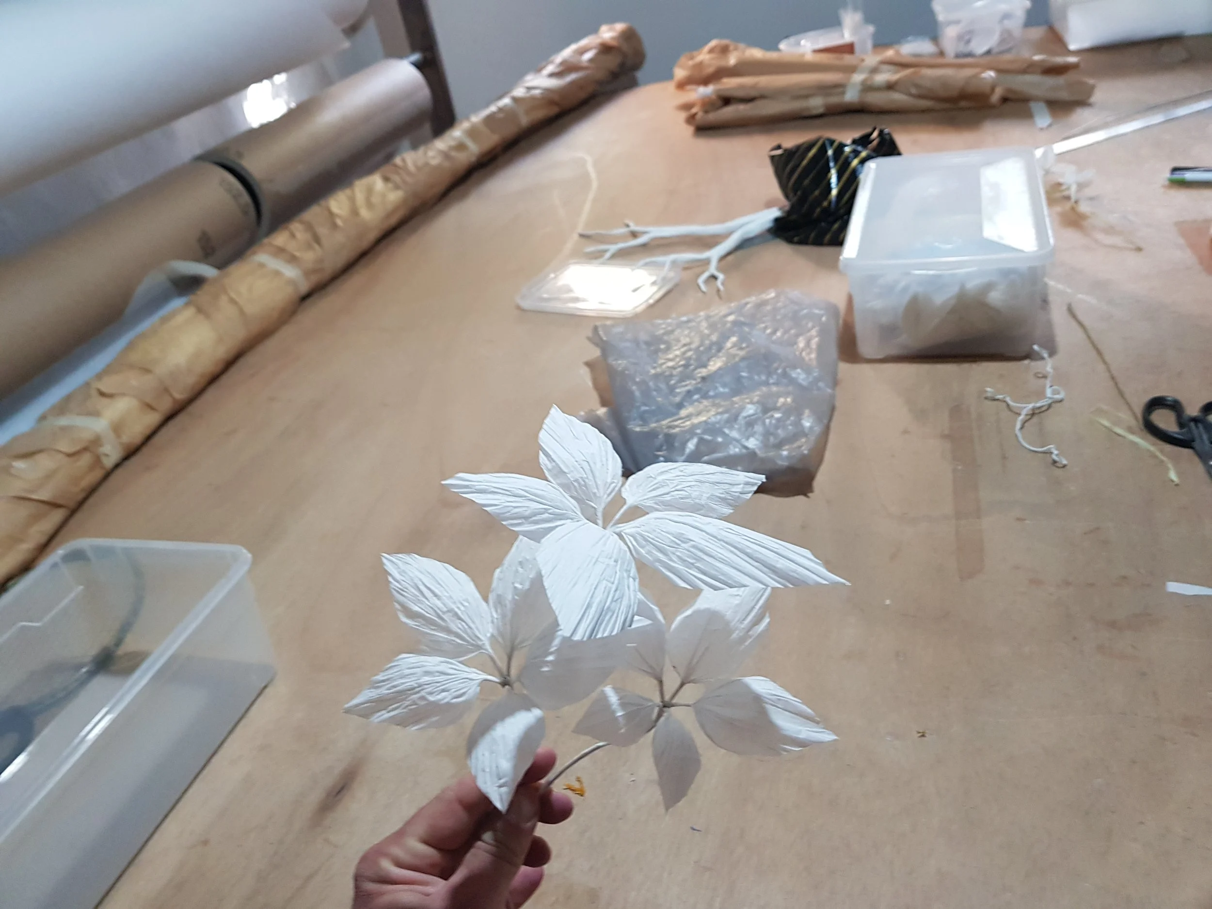 3-Feuilles Agencement 3 _ 01.jpg