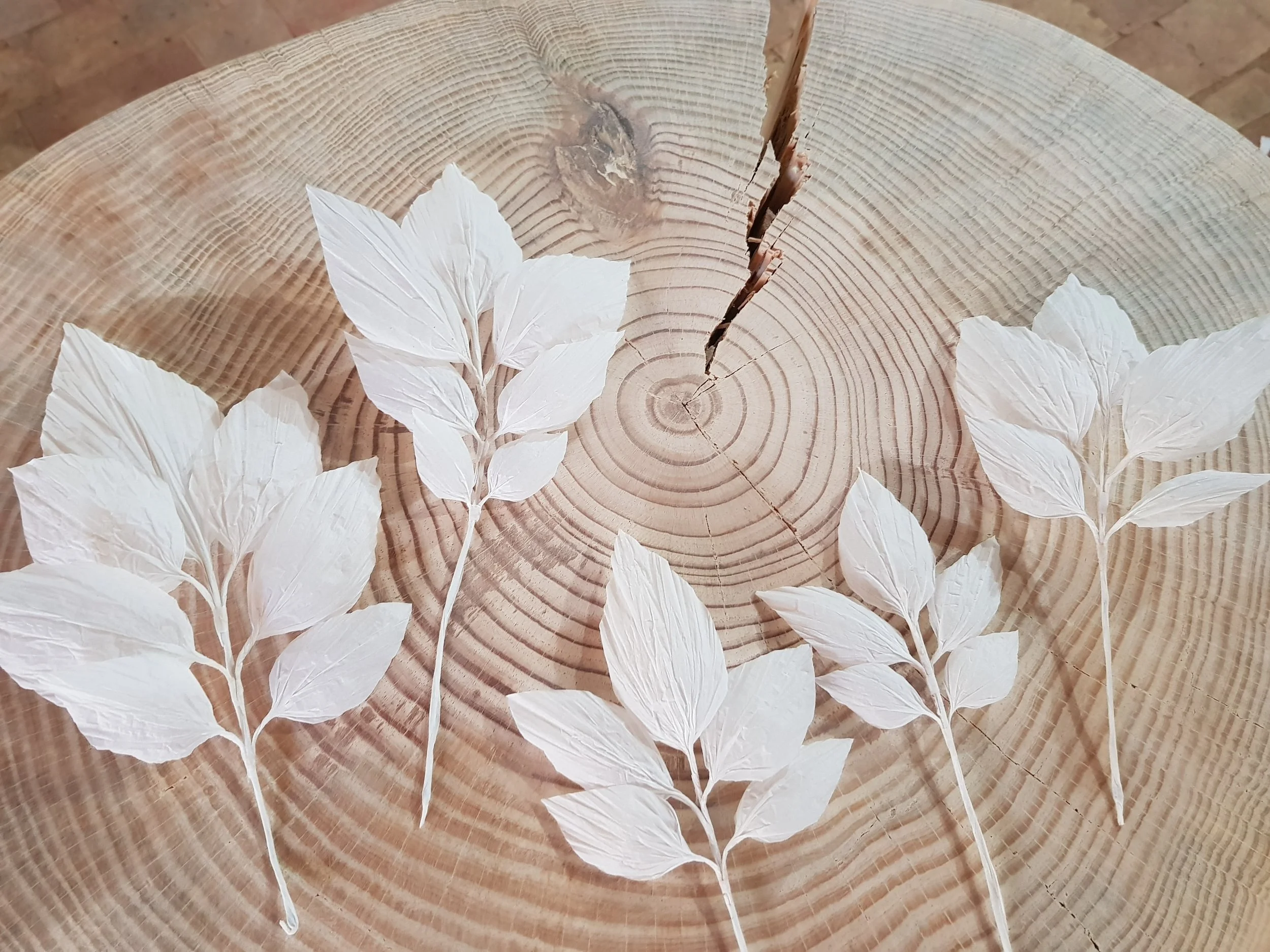 4-Feuilles Agencement 4 _ 01.jpg