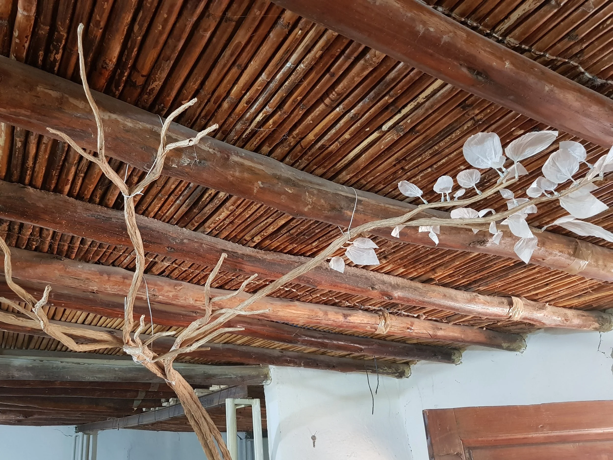 10-Essai branches.jpg