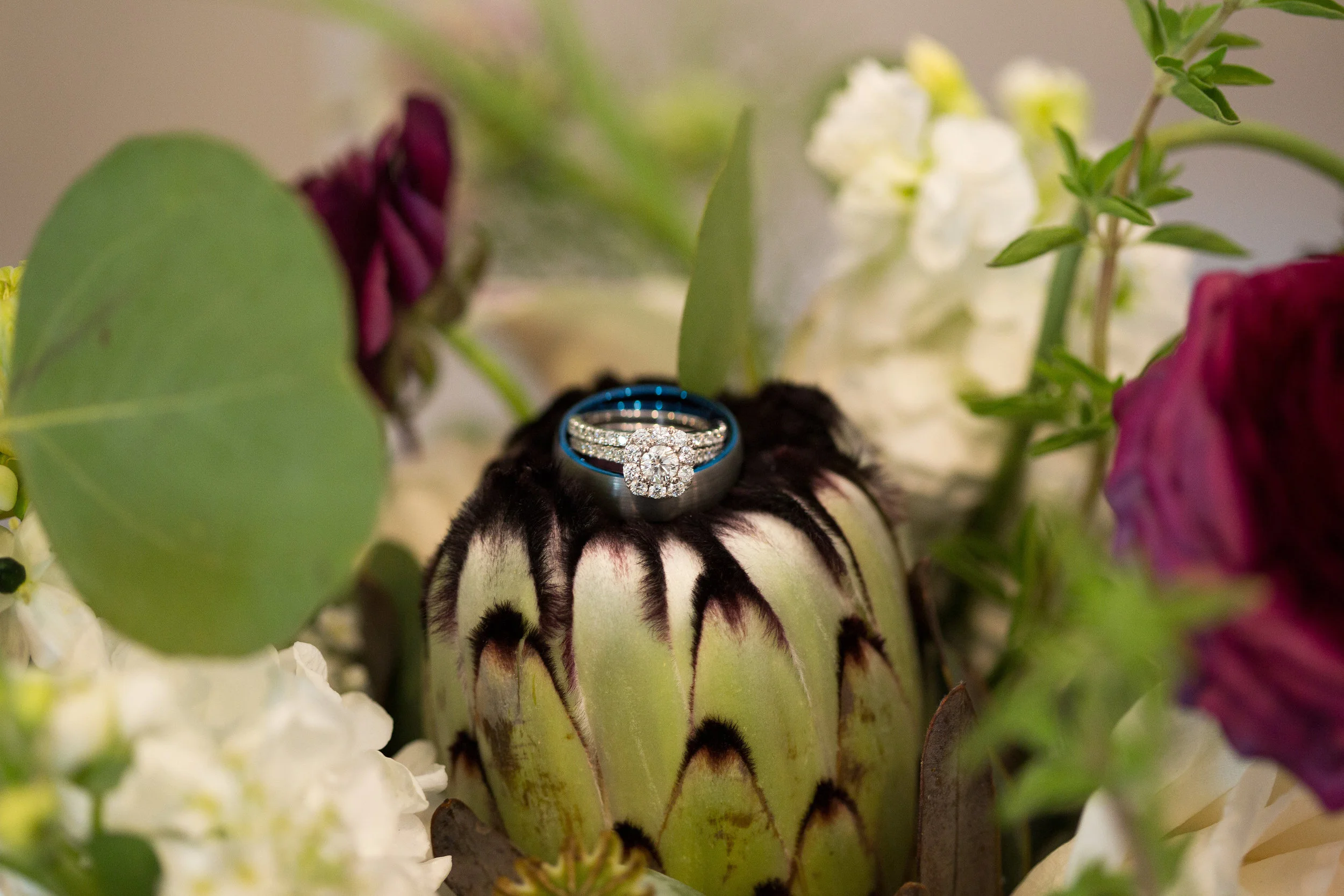 05.11.18-Leanne+Jon-BirchWoodVineyards-105.jpg