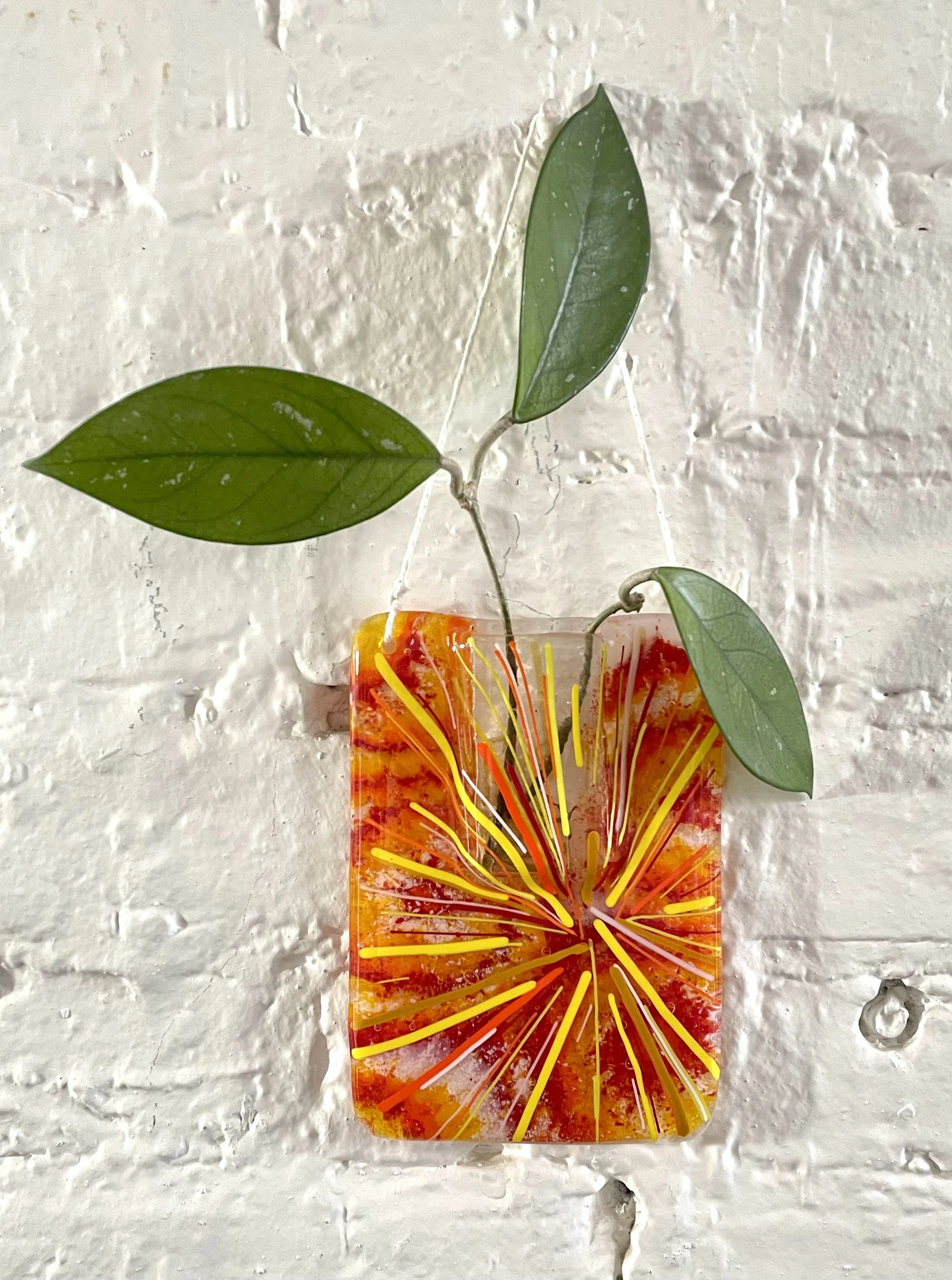 Pocket Vases