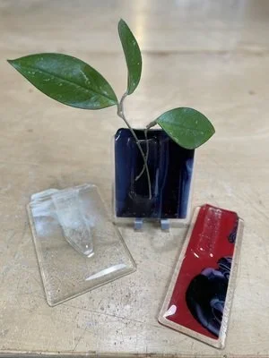Pocket Vase