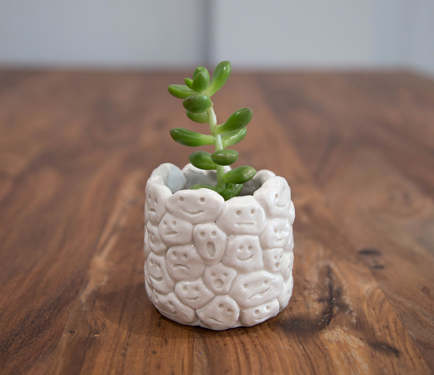 028_facepot_s.jpg