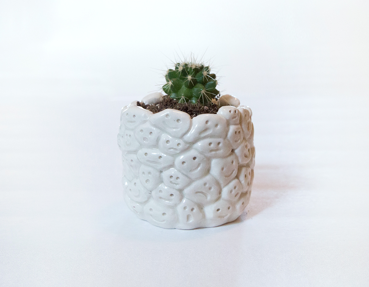 007_facepot_plant.jpg