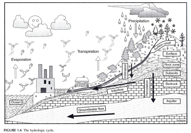 Hydrologic Cycle 2.png