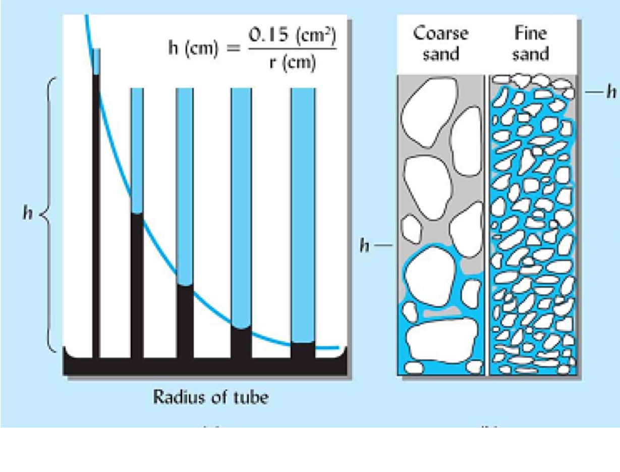 Cohesion: Attraction between molecules caused by a difference in charge. Water: Oxygen Side carries a negative charge while the hydrogen side carries a positive charge Adhesion: ability of a liquids particles to attract to different particles. The radius of the tube would be synonymous with the radius of the pore space. Up to this point, we have learned that finer grained soils tend to have higher porosities than coarse grained soils. You can interpret this image as meaning that water is retained more tightly in a clay soil than a sandy soil. So, the height (capillary pressure head) that the water rises in the pore is inversely proportional to the radius of the pore. See also: http://www.youtube.com/watch?v=CT4pURpXkbY