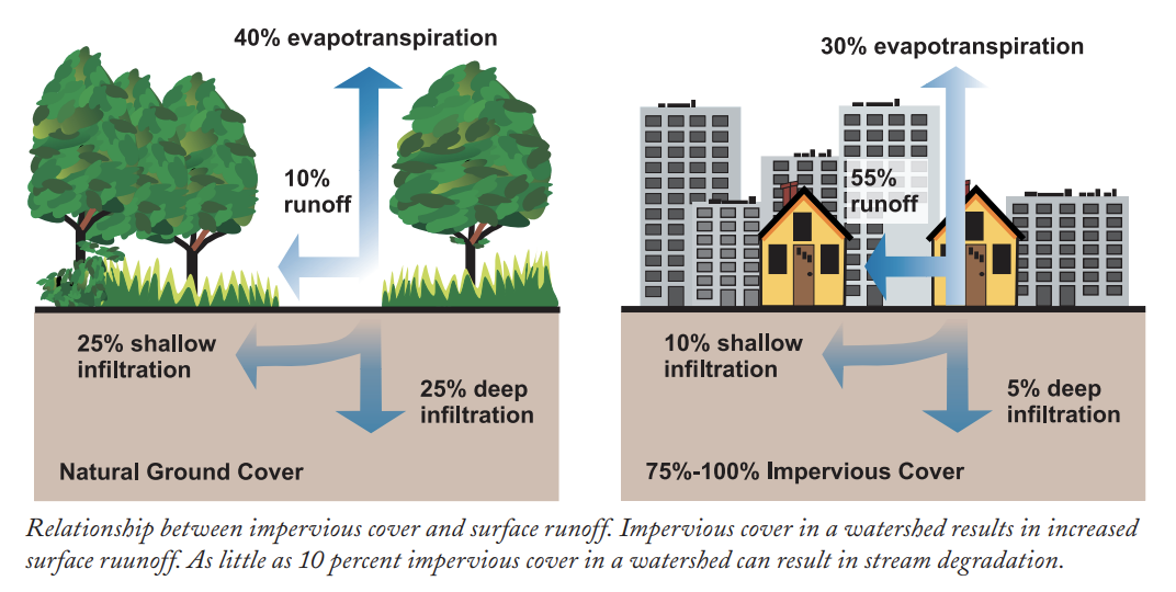 As it flows over the land surface, stormwater picks up potential pollutants that may include sediment, nutrients (from lawn fertilizers), bacteria (from animal and human waste), pesticides (from lawn and garden chemicals), metals (from rooftops and roadways), and petroleum by-products (from leaking vehicles). Pollution originating over a large land area without a single point of origin and generally carried by stormwater is considered non-point pollution. In contrast, point sources of pollution originate from a single point, such as a municipal or industrial discharge pipe. Polluted stormwater runoff can be harmful to plants, animals, and people. Runoff can carry a lot of sediment When storms hit and streamflows increase, the sediment moved into the river by runoff can end up being seen from hundreds of miles up by satellites. The right-side pictures shows the aftermath of Hurricane Irene in Florida in October 1999. Sediment-filled rivers are dumping tremendous amounts of suspended sediment into the Atlantic Ocean. The sediment being dumped into the oceans has an effect on the ecology of the oceans, both in a good and bad way. And, this is one of the ways that the oceans have become what they are: salty.