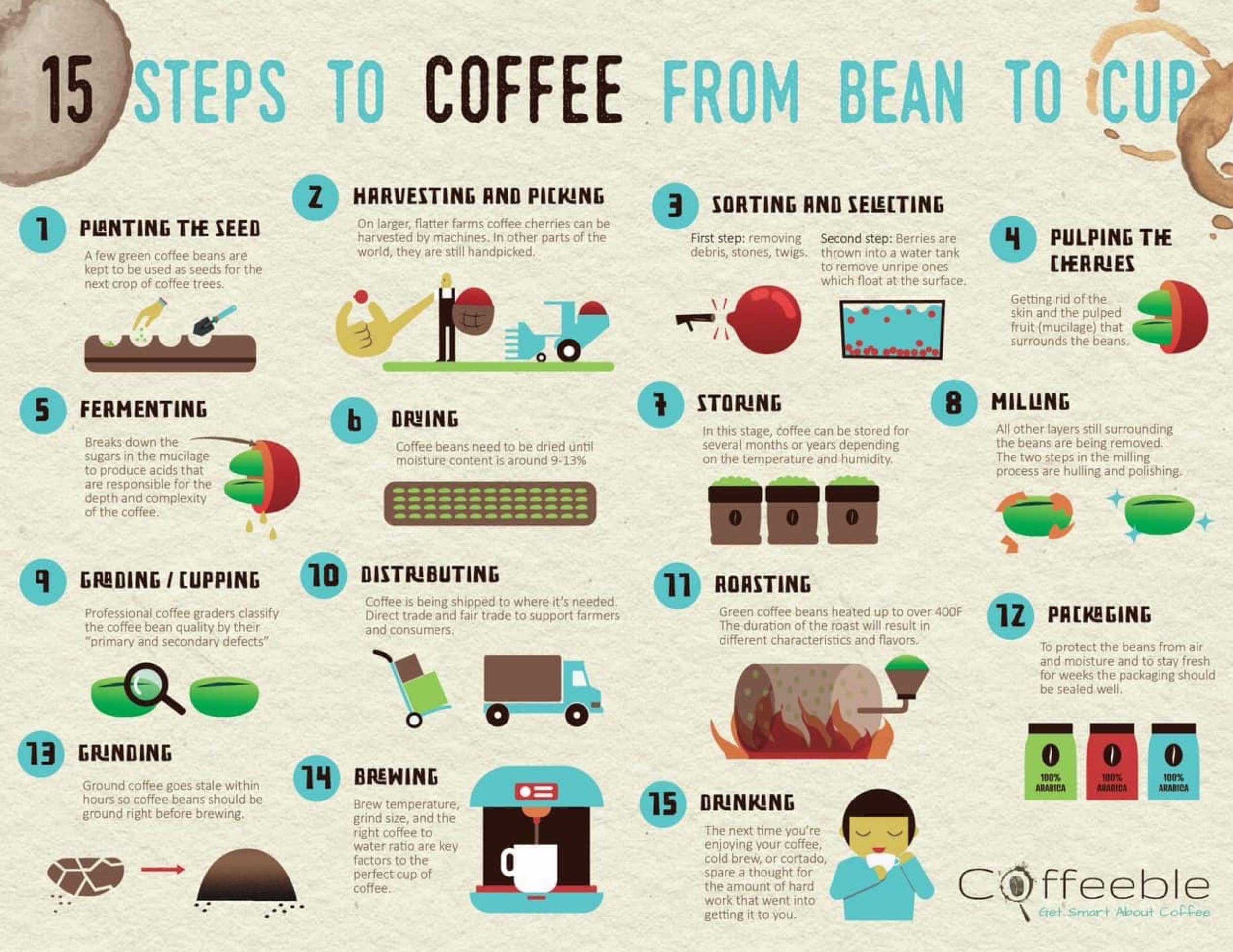 Coffee.png