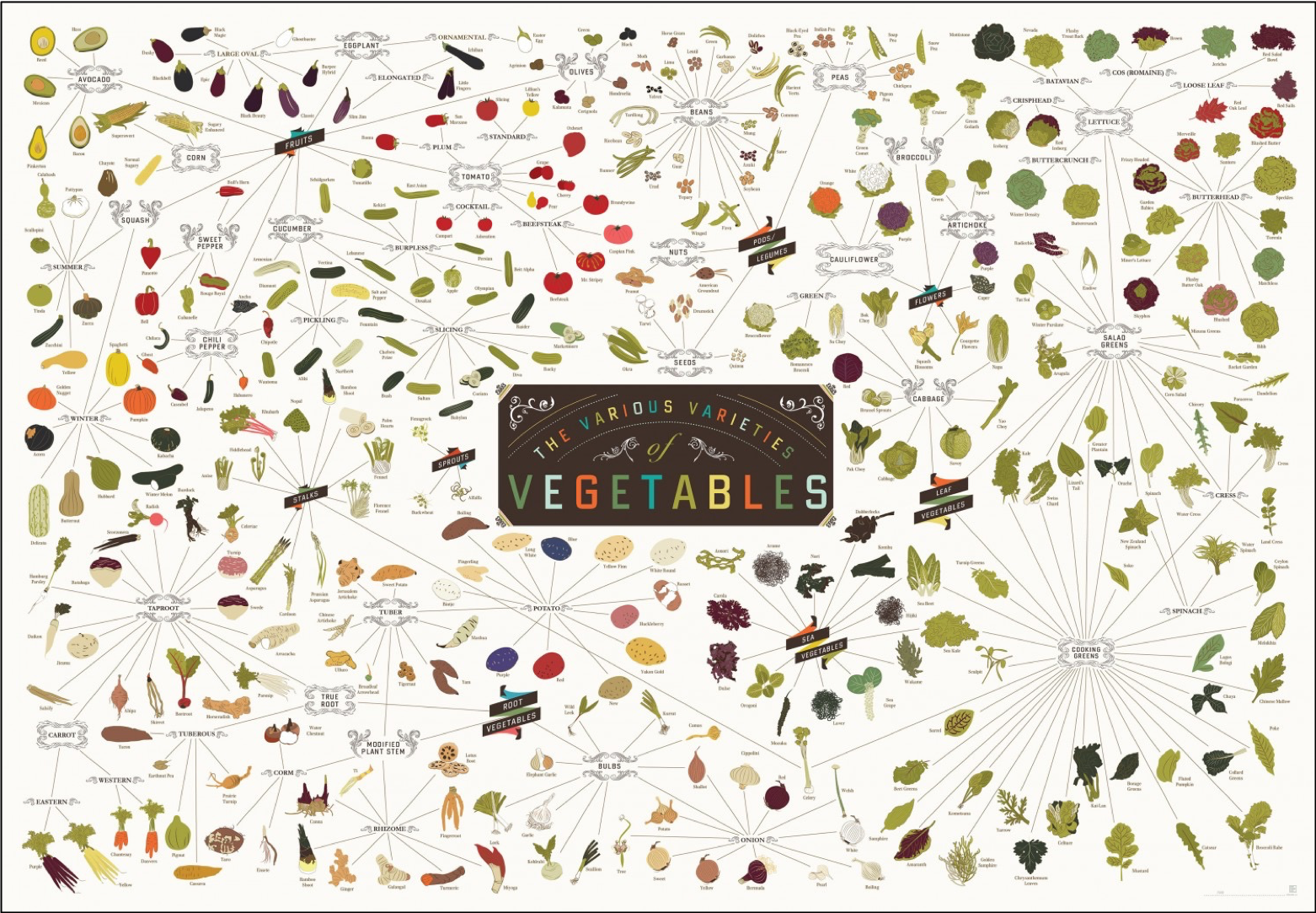 Vegetables.png