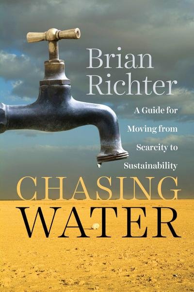 Chasing Water by Richter.jpeg