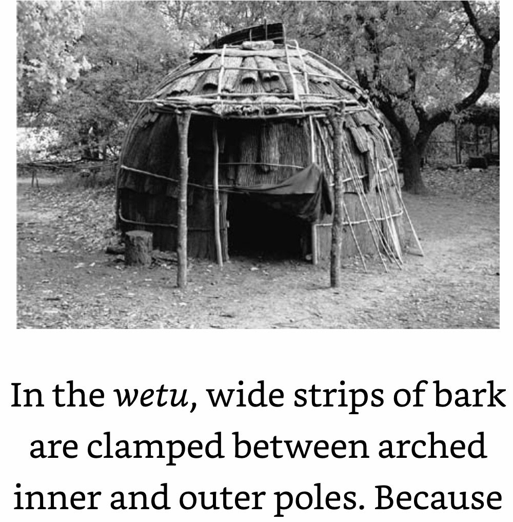 The Wetu Shelter.jpeg