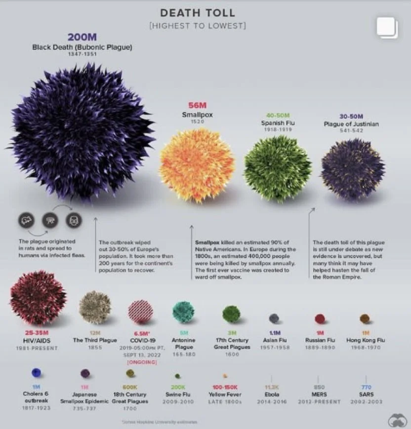 Pathogens by Death Count.jpeg