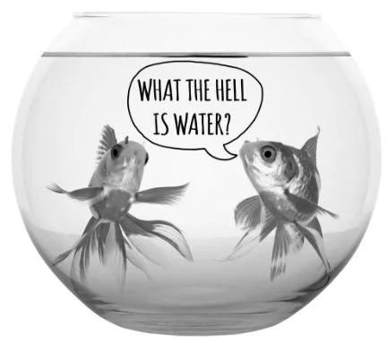 What the Hell is Water.jpeg