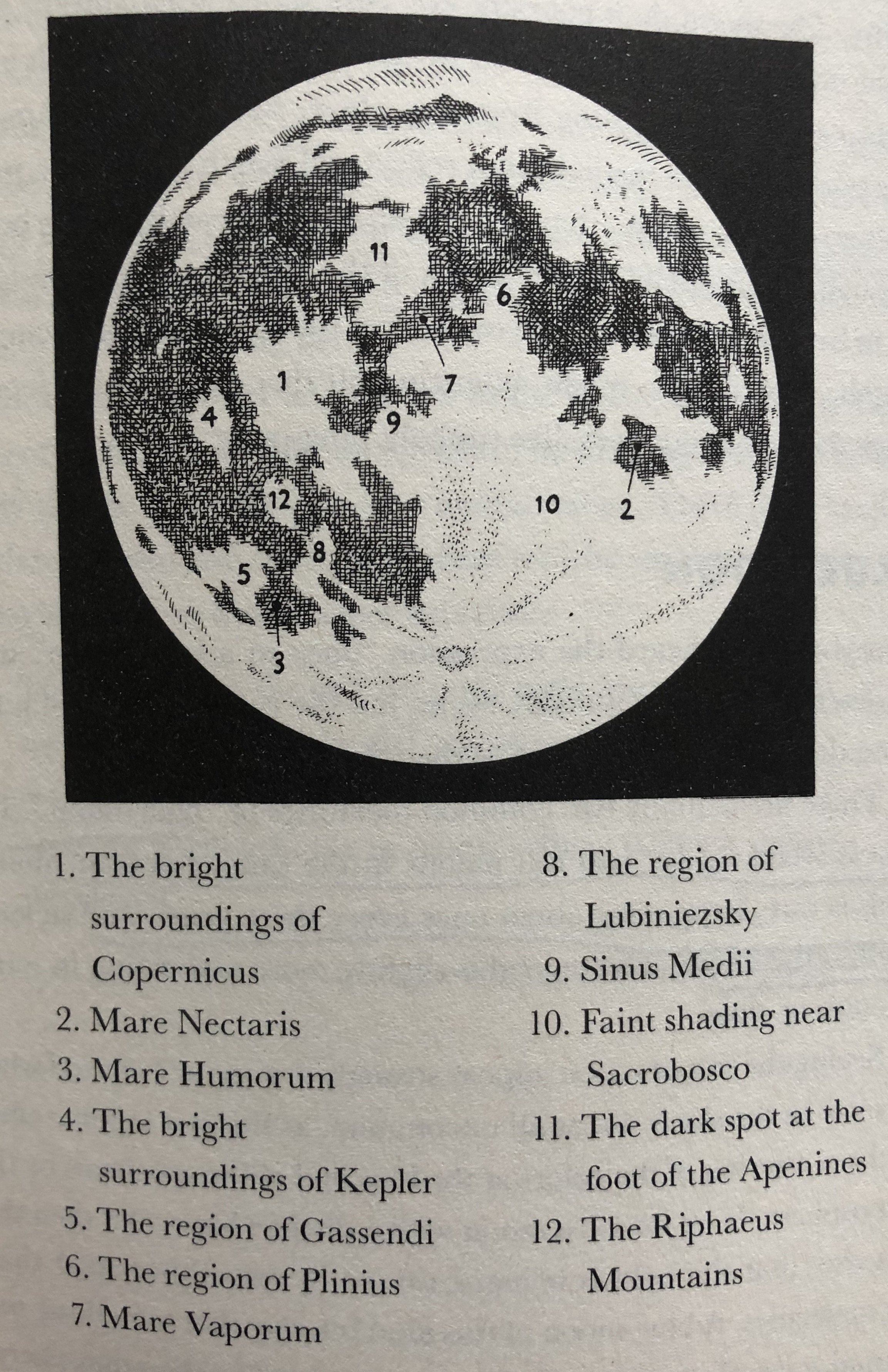 Areas of the Moon.jpeg