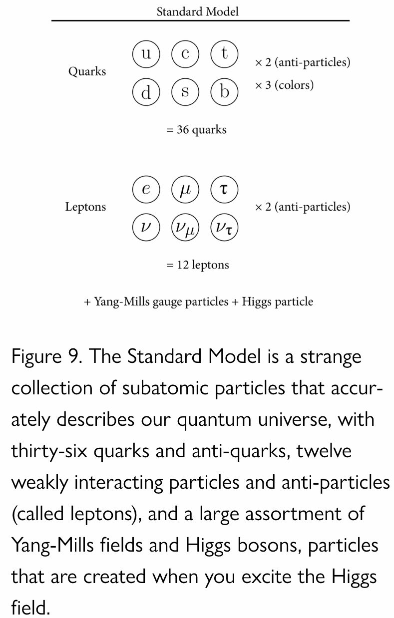 The Standard Model.jpeg