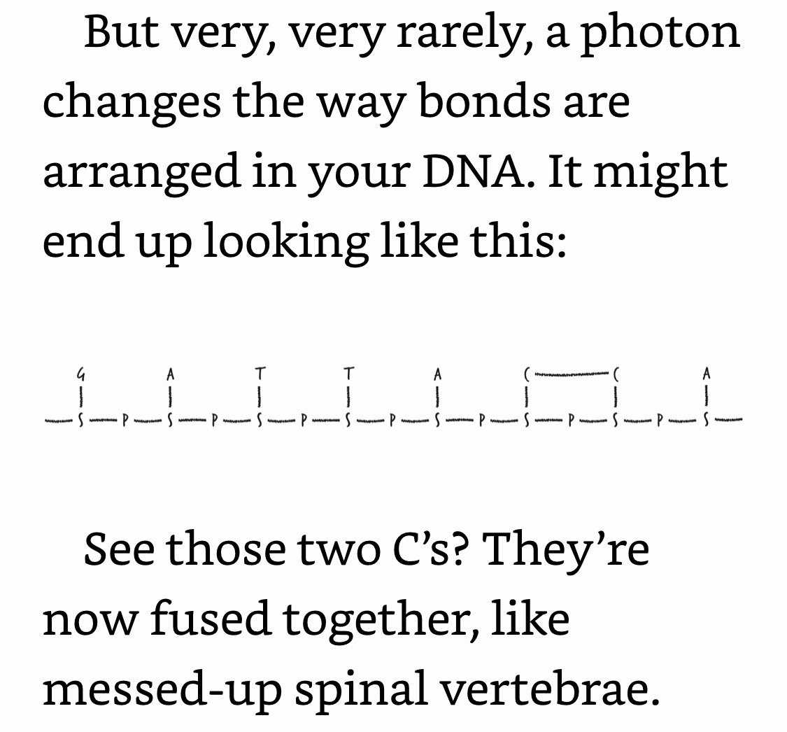 DNA Mutations and Photons.jpeg