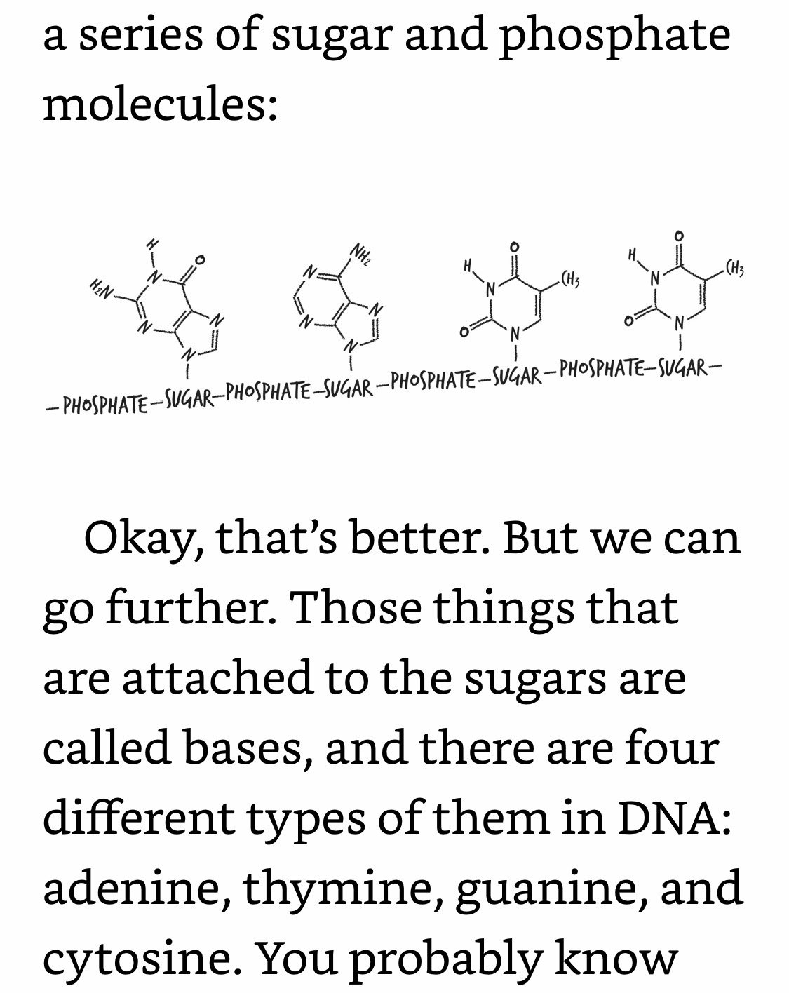 DNA Sugar and Phosphates.jpeg