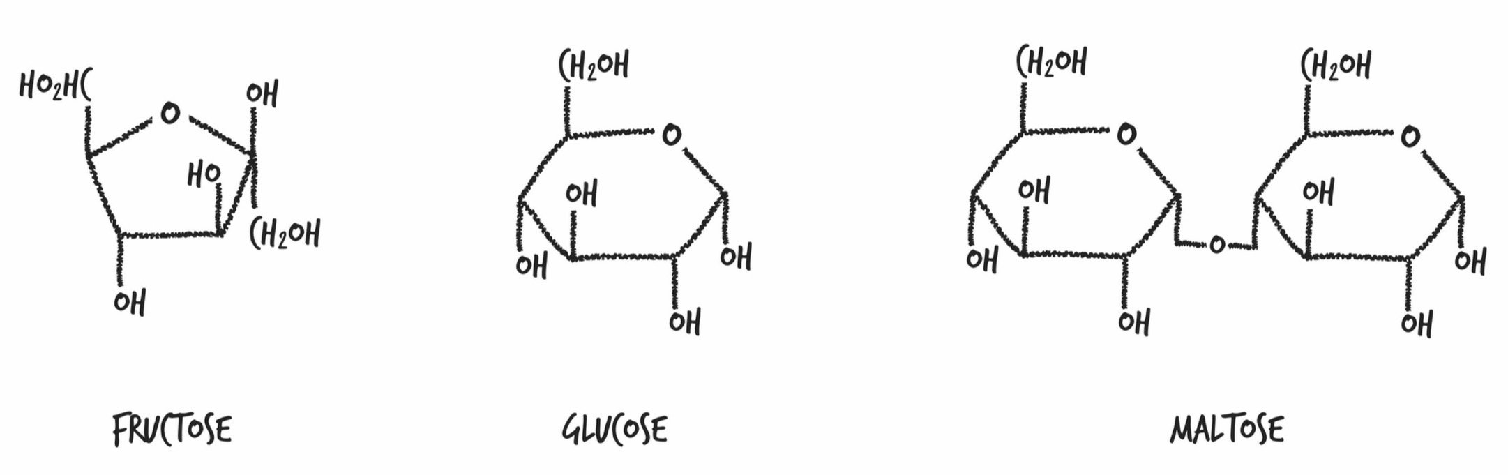 Sugar Chemical Formulas.jpeg