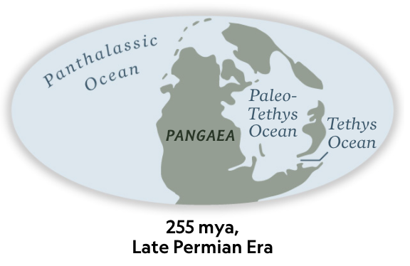 255 ma Earth Late Permian Era.png