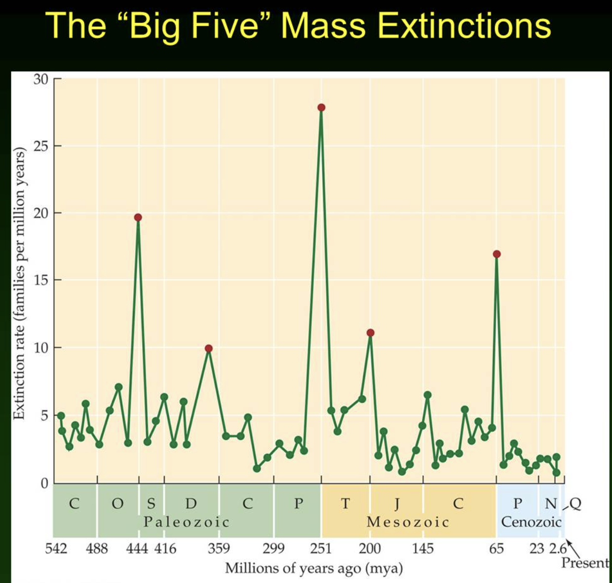 Big Five Mass Extinctions.png
