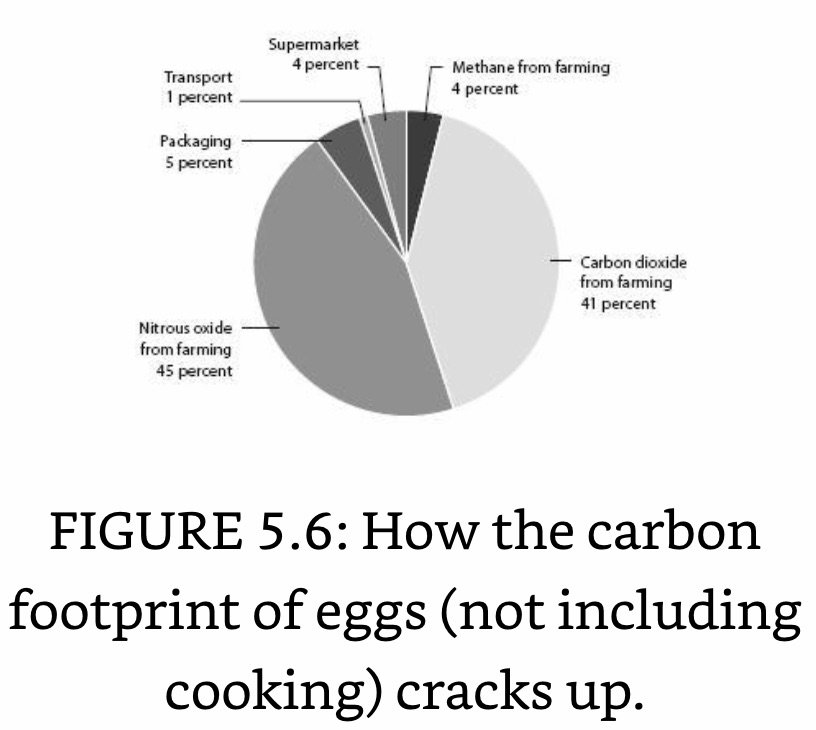 C Footprint of Eggs.jpeg