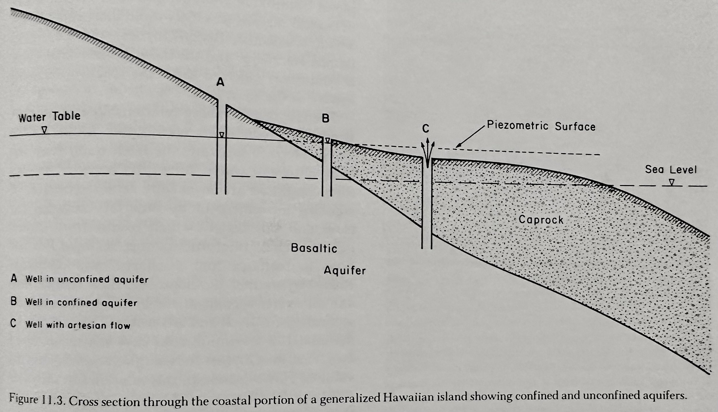 Hawaii Aquifer Cross Section.jpeg