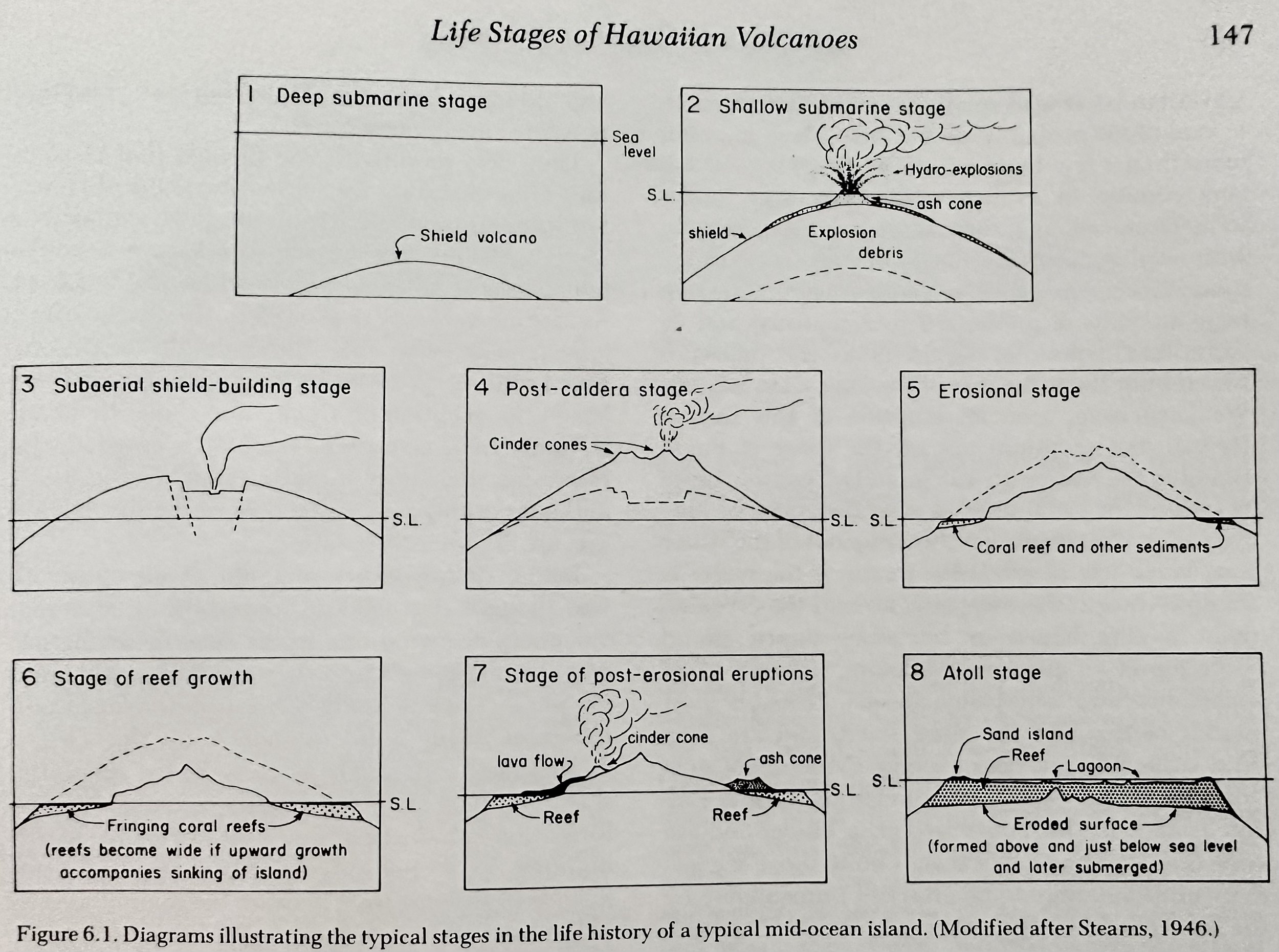 Hawaiian Volcano Life Stages.jpeg