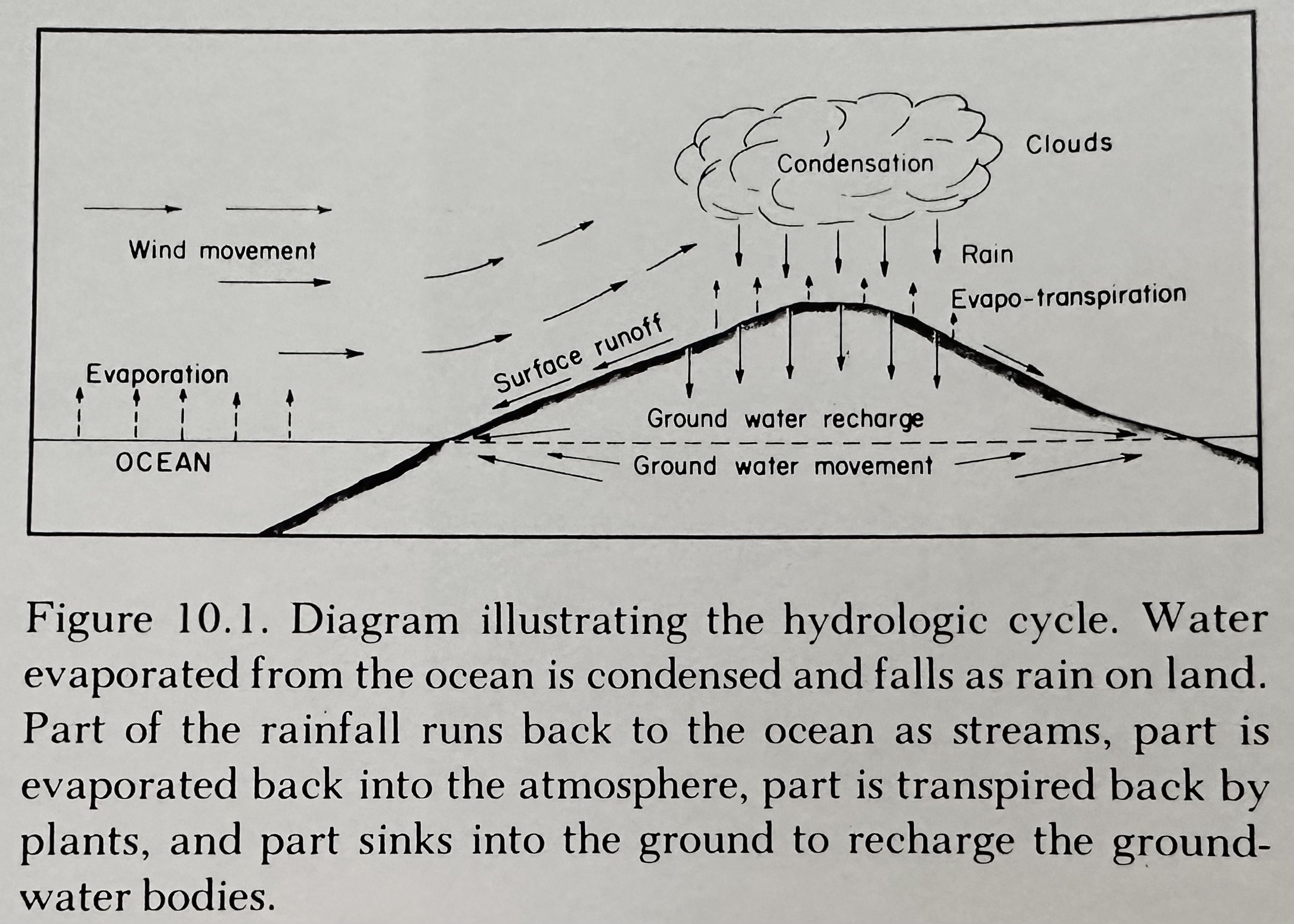 Hydrologic Cycle Structure.jpeg