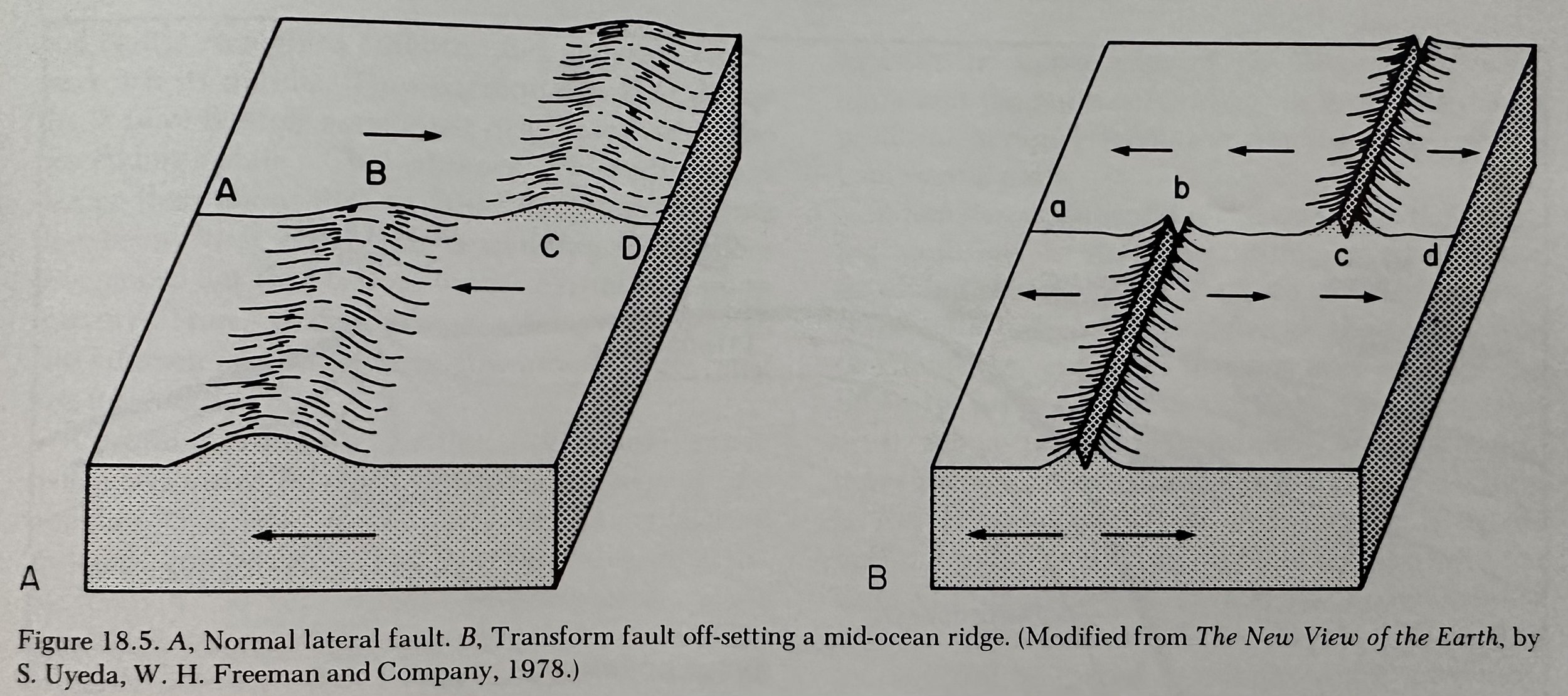 Normal and Transform Faults.jpeg