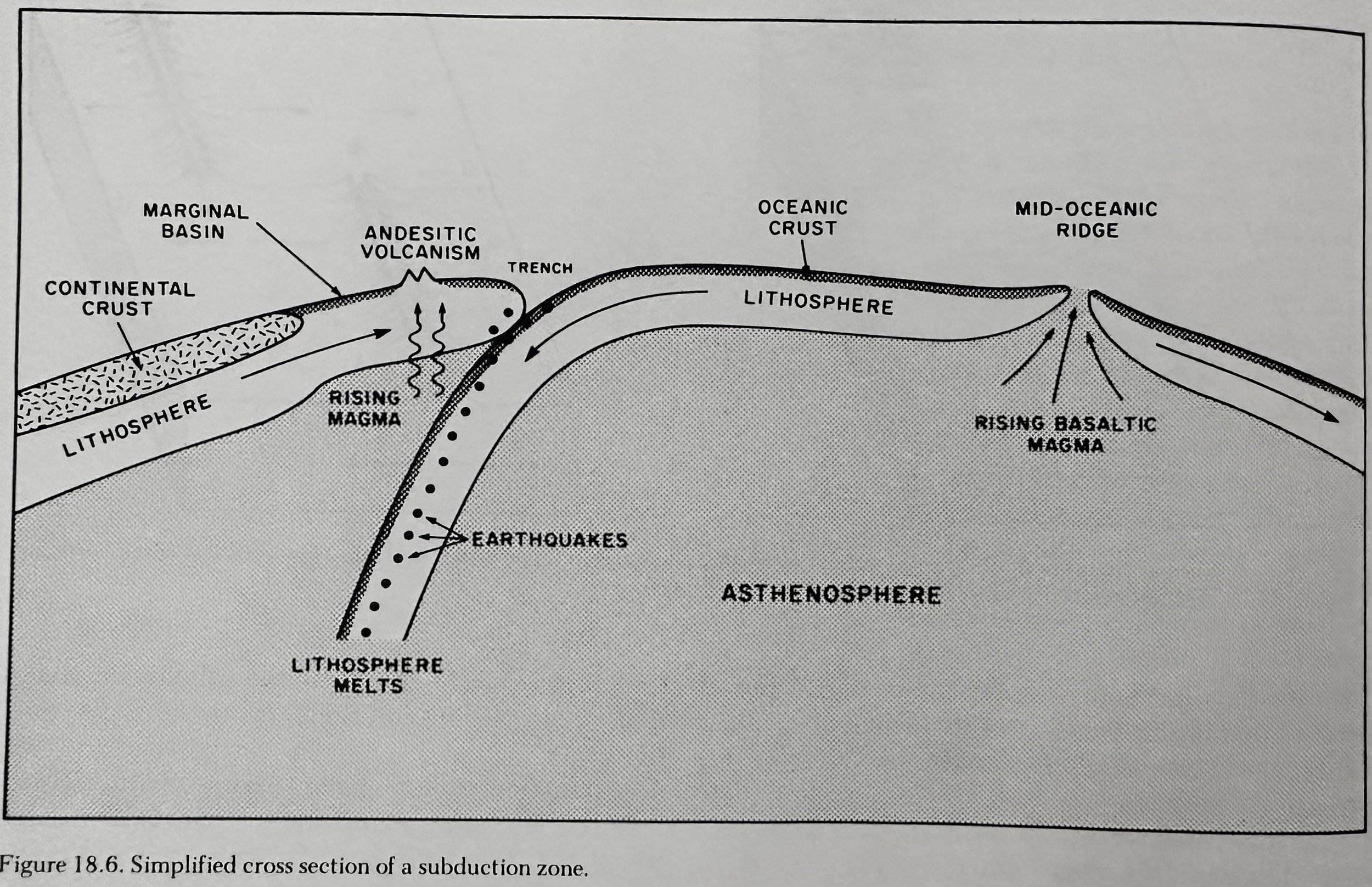 Simplified Cross Section of a Subduction Zone.jpeg