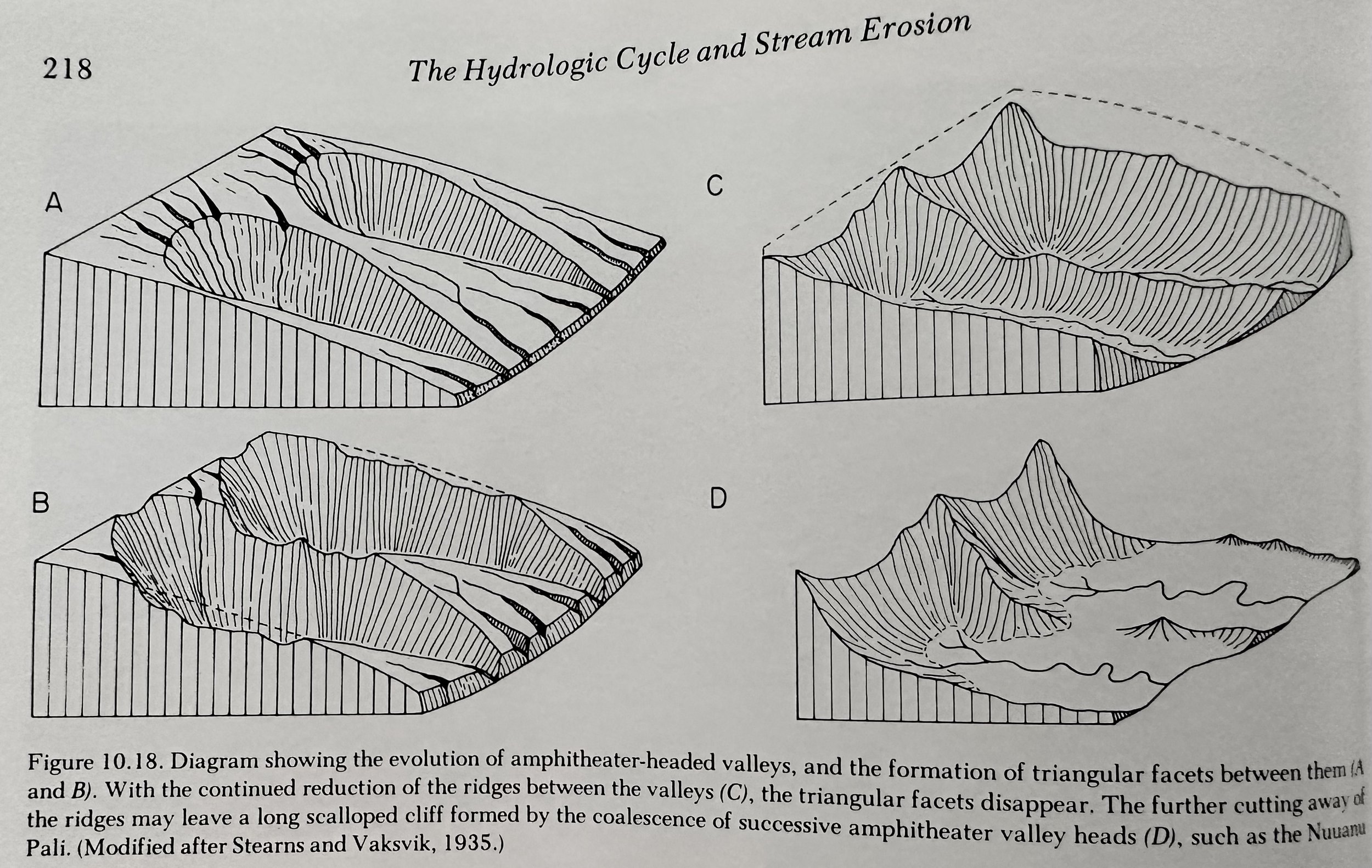 The Hydrologic Cycle and Stream Erosion.jpeg