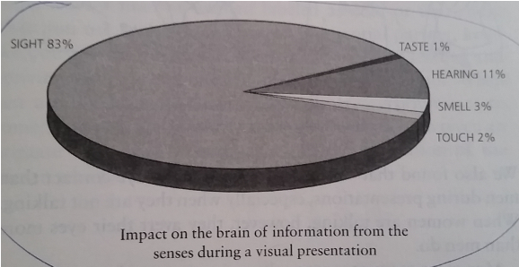 Impact on the Brain from the Senses.png