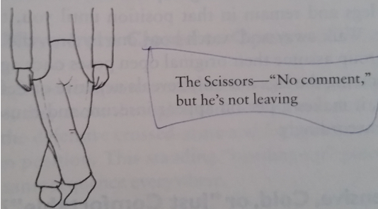 The Scissors .png